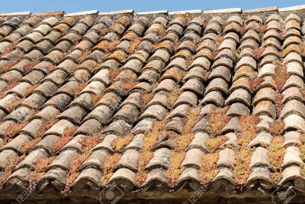 limpieza de tejados asturias